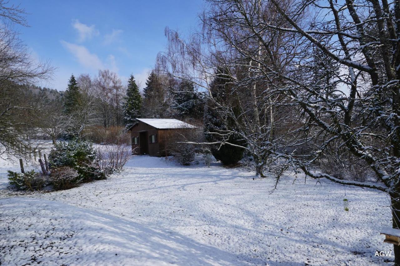 Chambres D'Hotes De L'Avison Bruyeres エクステリア 写真