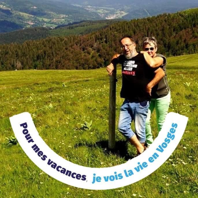 Chambres D'Hotes De L'Avison Bruyeres エクステリア 写真
